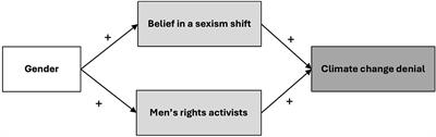 Gender differences in climate change denial in Sweden: the role of threatened masculinity